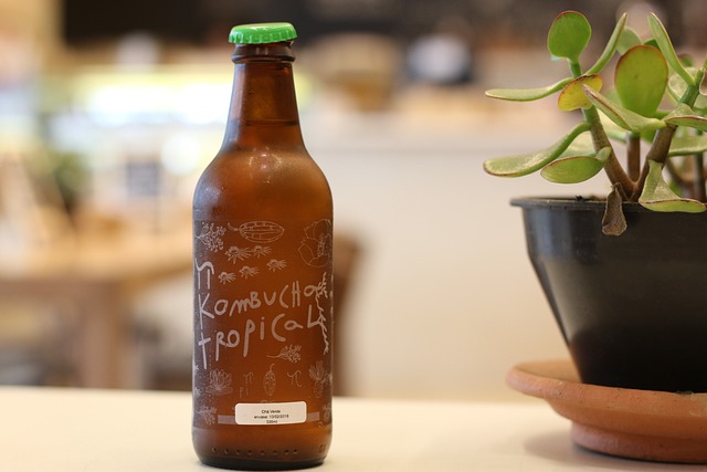 Czy dzieci mogą pić kombucha? Czy dzieci mogą pić kombucha?
