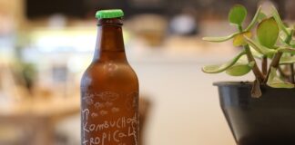 Czy kombucha jest kaloryczna?
