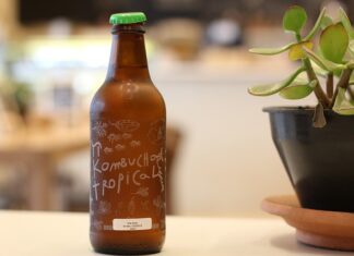 Jak powstaje grzyb kombucha?