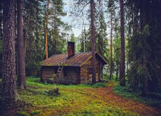 Ile kosztuje Finlandia w Lidlu? Ile kosztuje Finlandia w Lidlu?