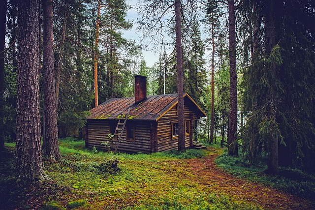 Ile kosztuje Finlandia w Lidlu? Ile kosztuje Finlandia w Lidlu?