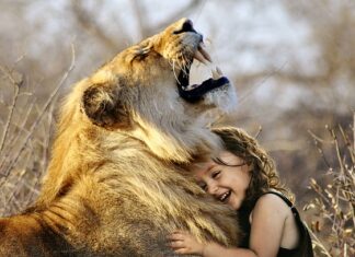 Jaka jest najlepsza Fototapeta?