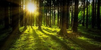 Jaka fuga Mapei do łazienki?
